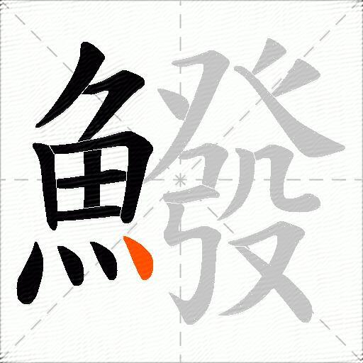 鱍