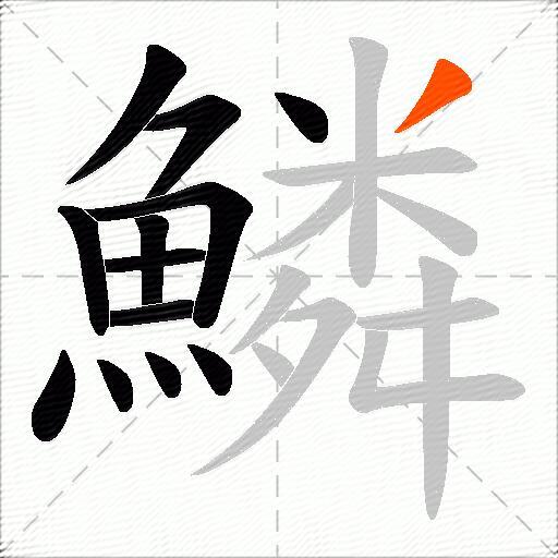 鱗