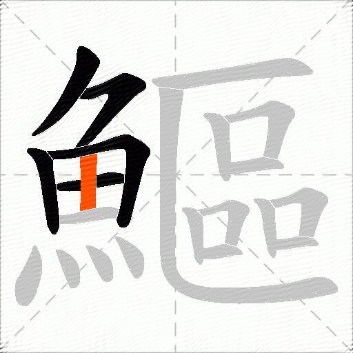 鰸