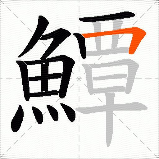 鱏