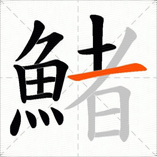 鯺