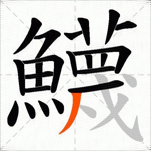 鱴