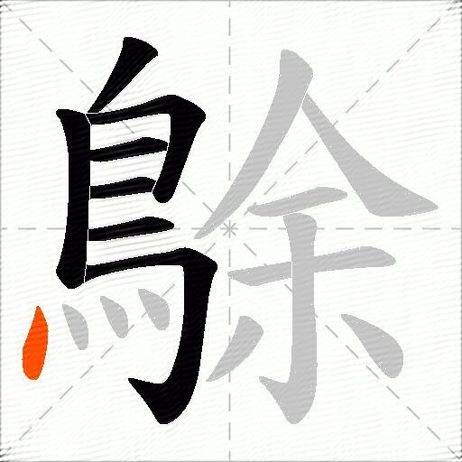 鵌