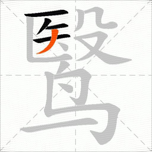 鹥