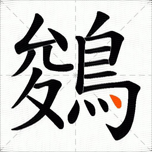鵕