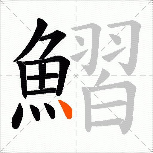 鰼