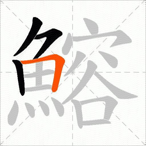 鰫