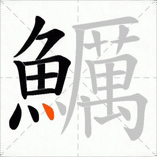 鱱