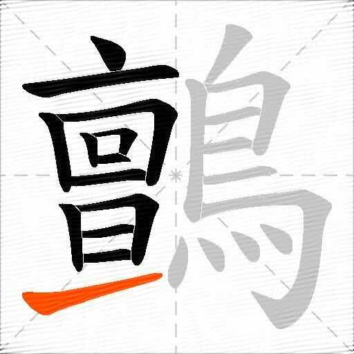鸇