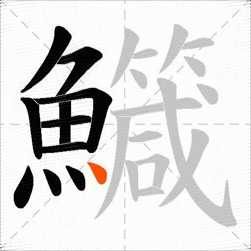 鱵