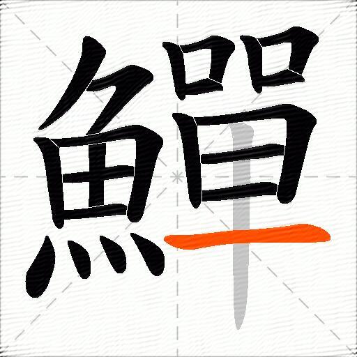 鱓