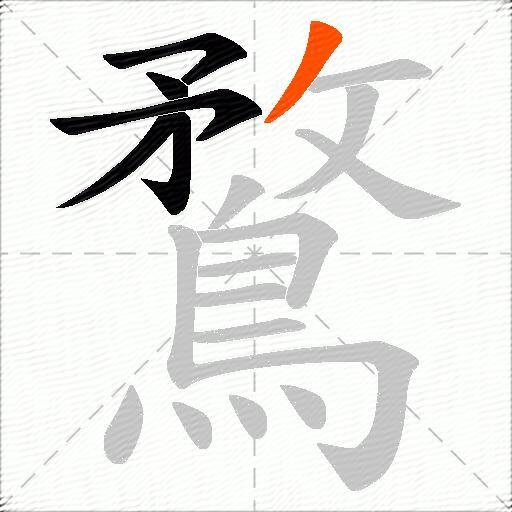 鶩