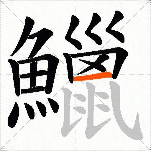 鱲
