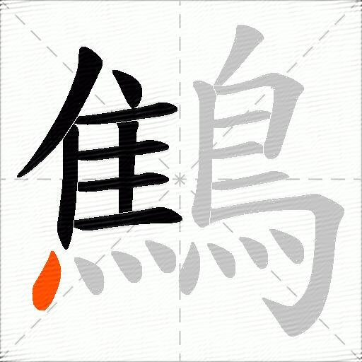 鷦