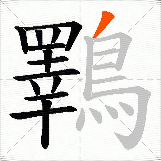 鸅