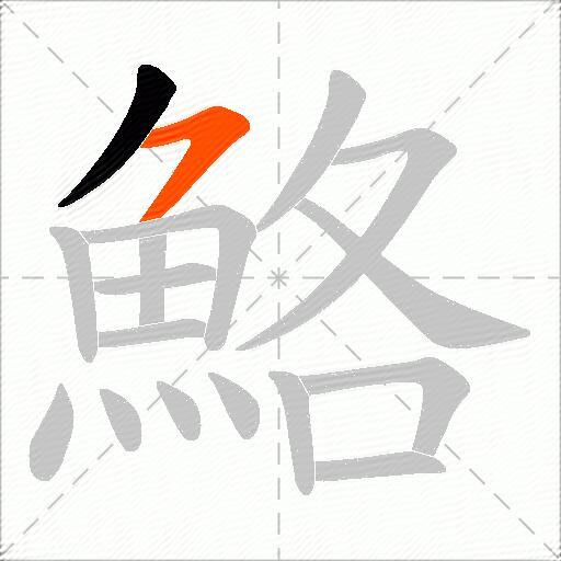 鮥