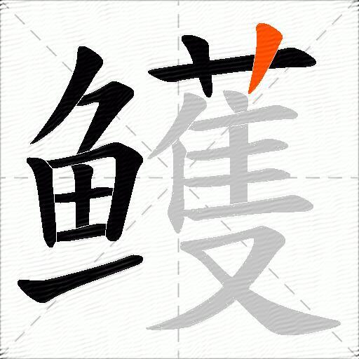 鳠