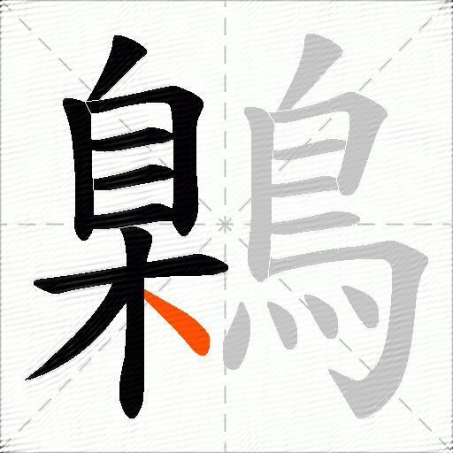 鷍