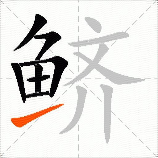 鲚