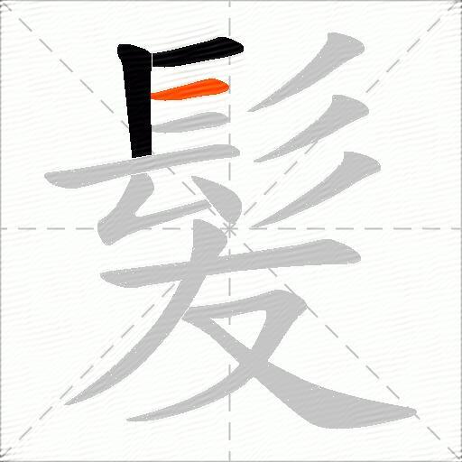 髪