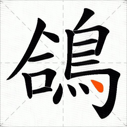 鴿