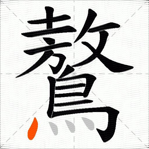鷔