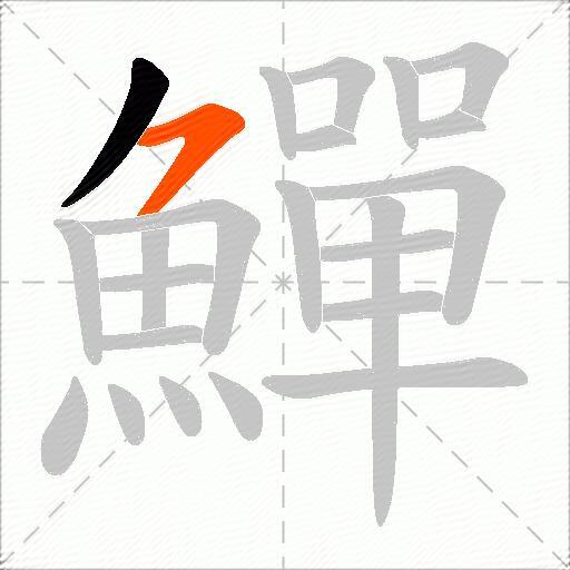 鱓