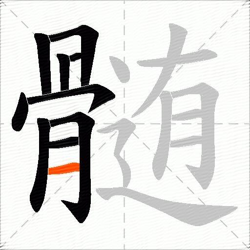 髄