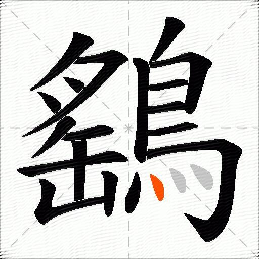 鷂