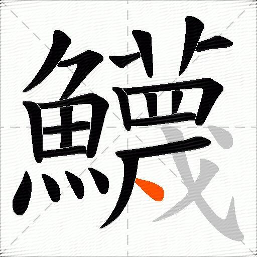鱴