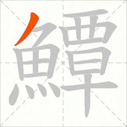 鱏