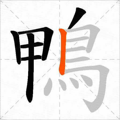 鴨
