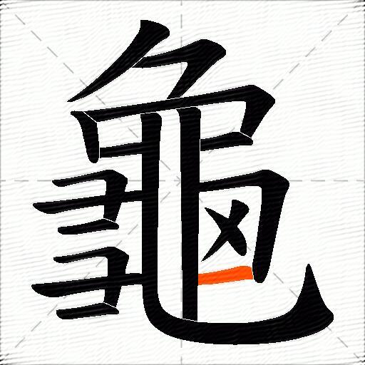 龜