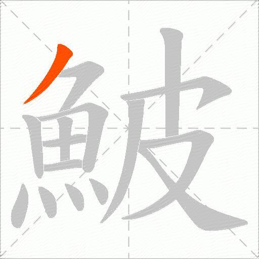 鮍