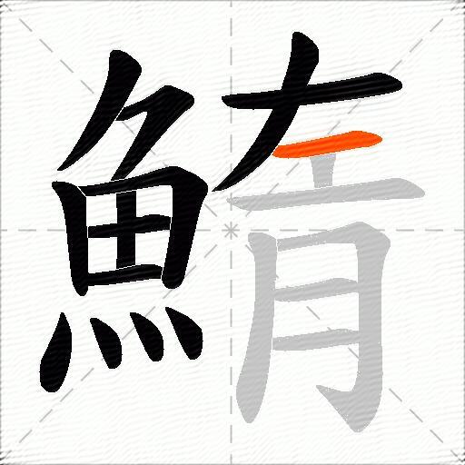 鰖
