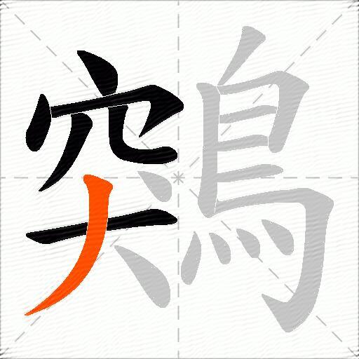 鶟