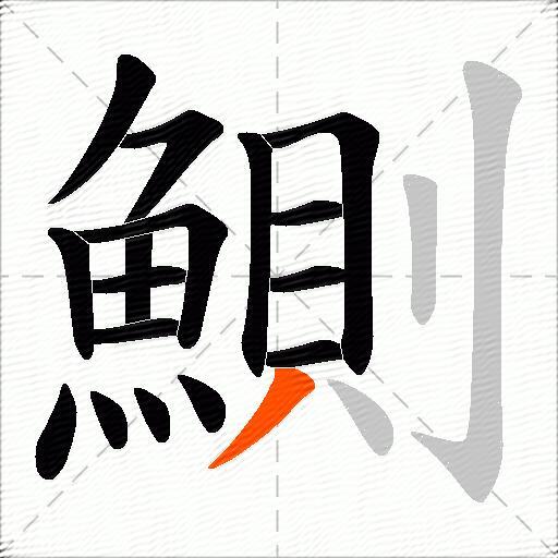 鰂