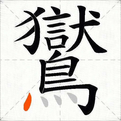 鸑