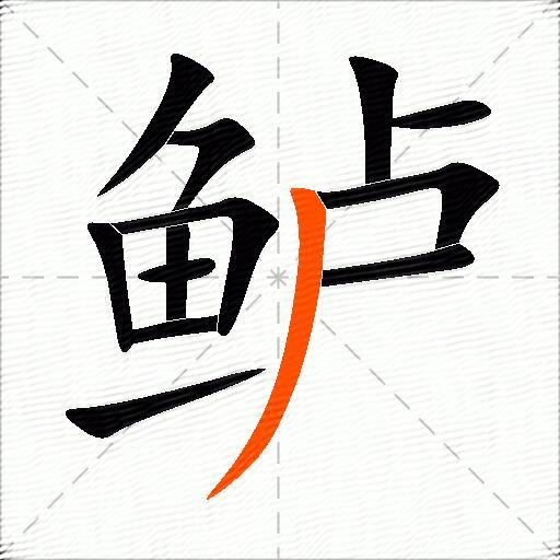 鲈