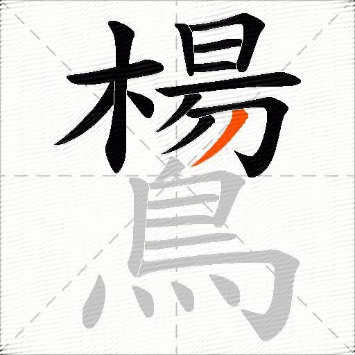 鸉