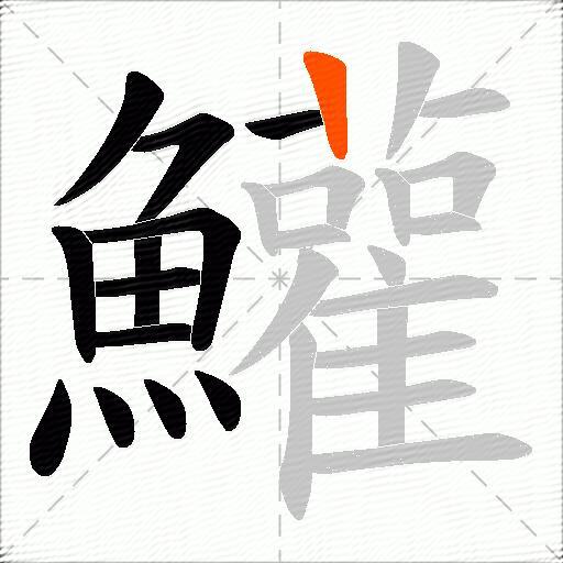 鱹