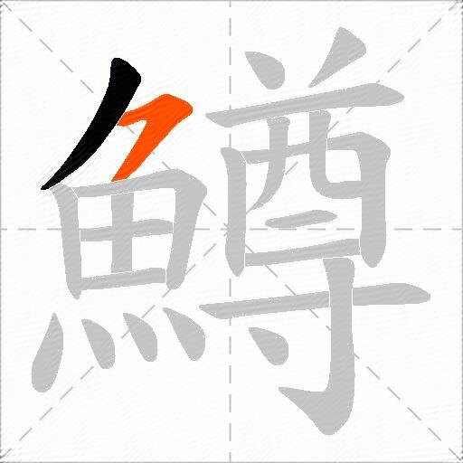 鱒
