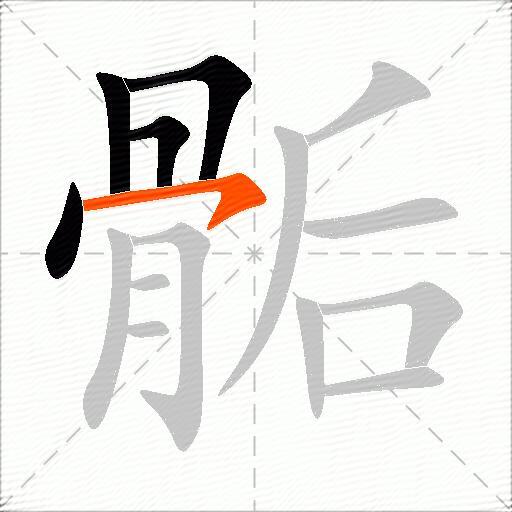 骺