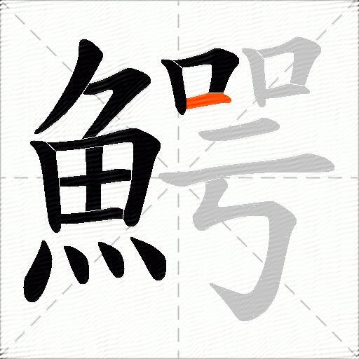 鰐