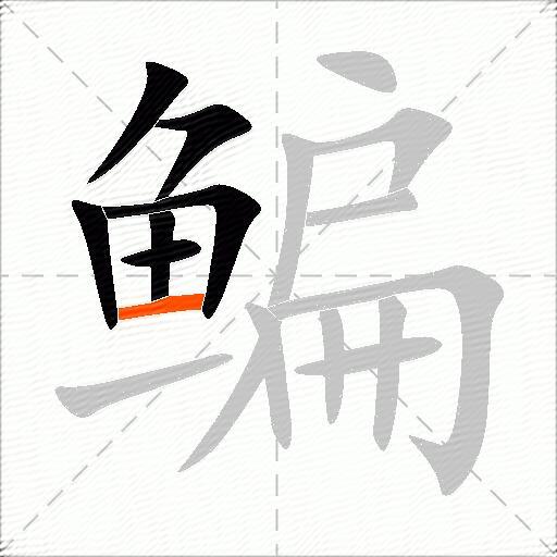 鳊