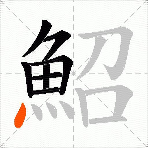 鮉