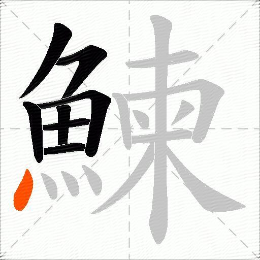 鰊