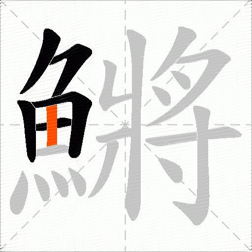 鱂