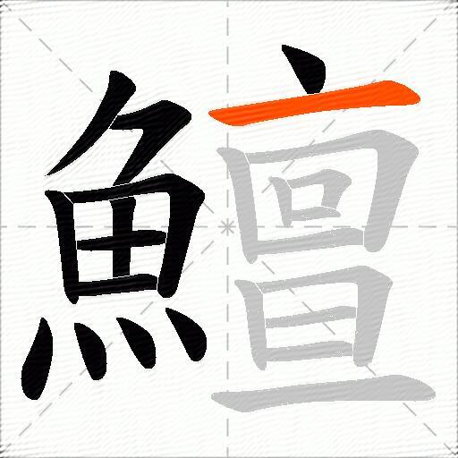 鱣