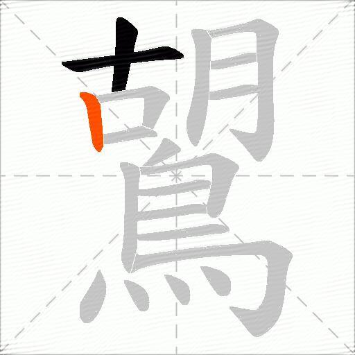鶦
